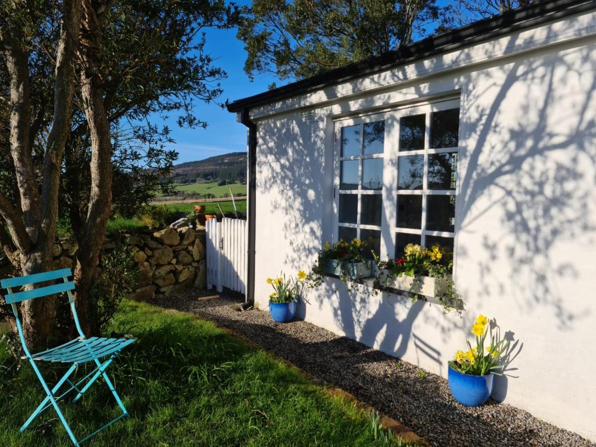 Lynam Cottage Ashford Exterior photo